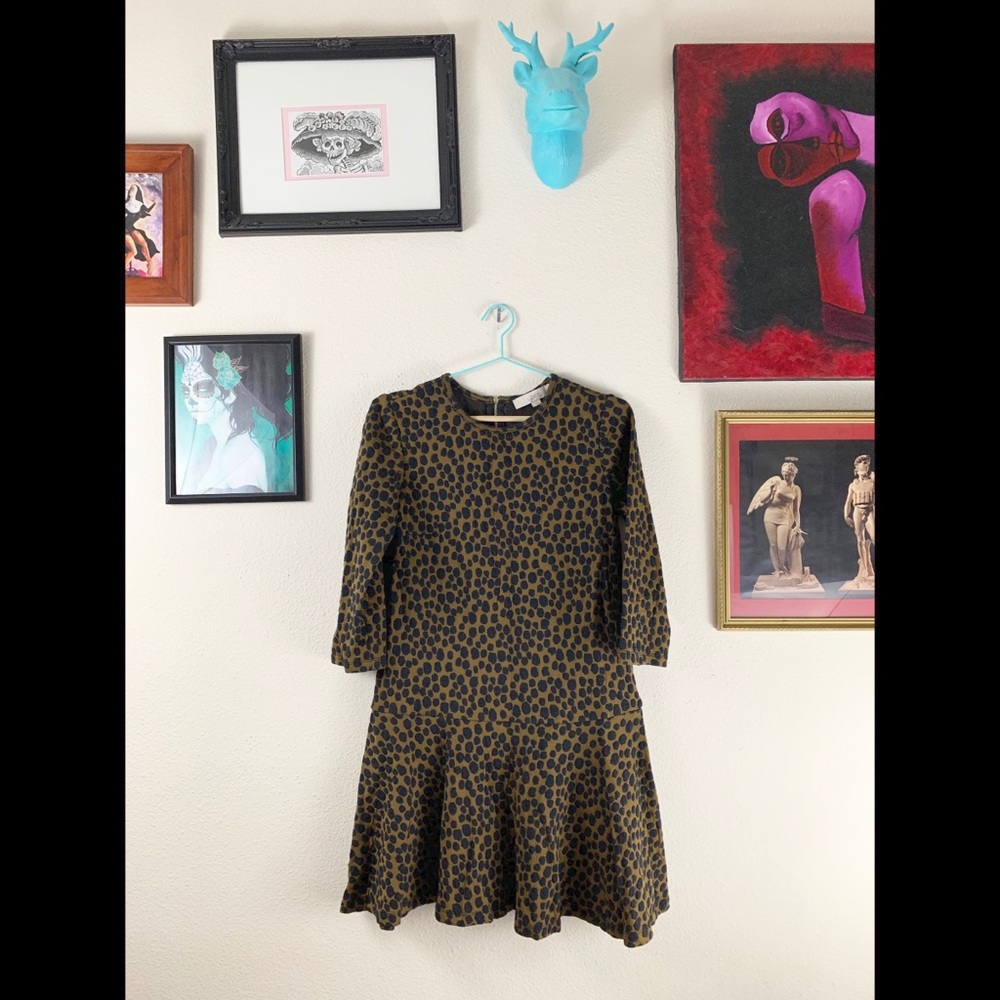 LOFT Leopard/Cheetah Print Drop Waist Dress